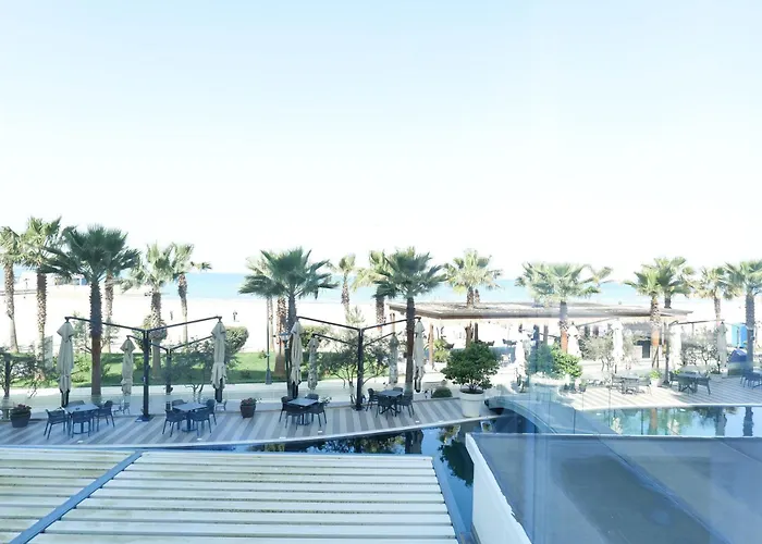 Sunflowers * Golem (Tirana)